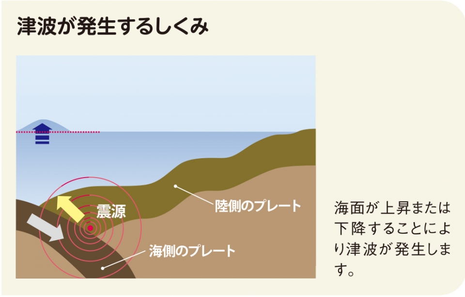 津波のしくみ