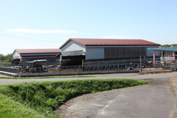 厚岸町営牧場